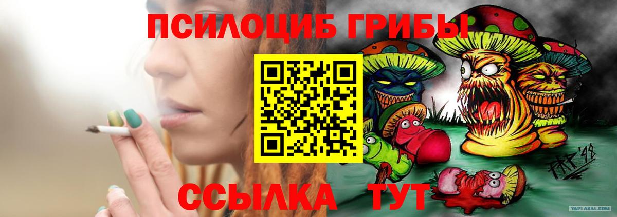 Галлюциногенные грибы GOLDEN TEACHER  Вход с VPN  Псилоцибиновые грибы Psilocybine cubensis  Бузулук 